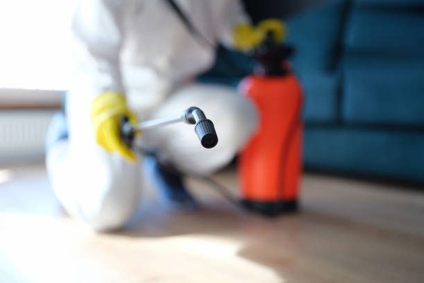 Best Airborne Mold Testing  in Grover Beach, CA