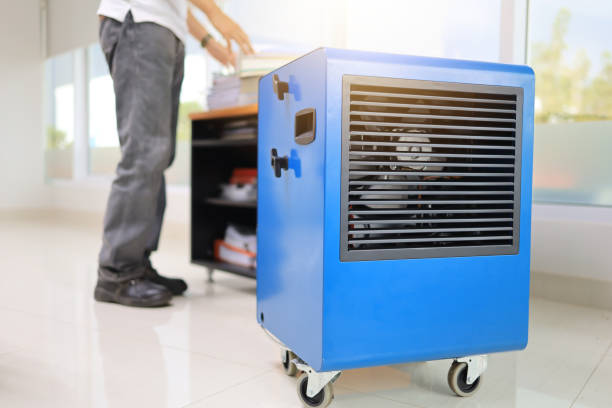 Best Industrial Mold Remediation  in Grover Beach, CA