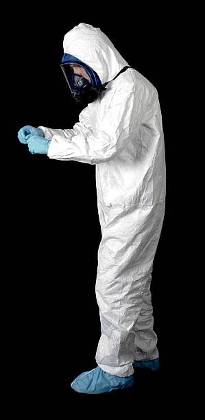 Trusted Grover Beach, CA Mold Removal Experts